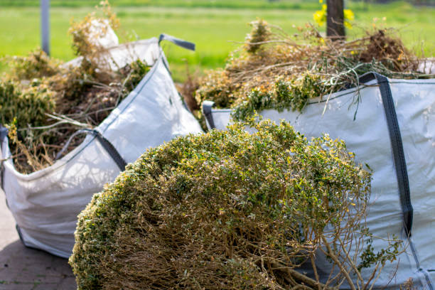 Junk Removal for Events in Pine Canyon, CA